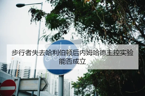 步行者失去哈利伯顿后内姆哈德主控实验能否成立