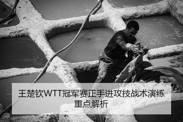 王楚钦WTT冠军赛正手进攻技战术演练重点解析